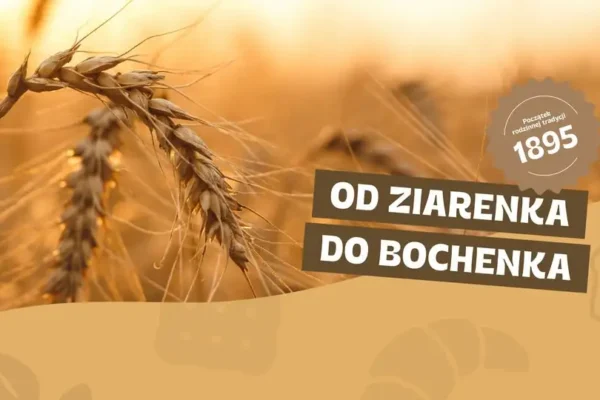 Młyn ma swój rytm – jak młynarz słyszy problemy, zanim staną się widoczne